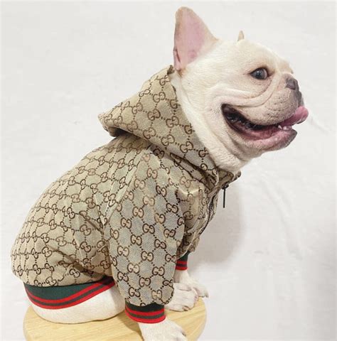 gucci hoodie with dogs|gucci raincoat for dogs.